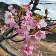 ヒメ日記 2026/03/02 20:49 投稿 ゆな 大和人妻城