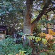 ヒメ日記 2025/01/08 14:53 投稿 かおり ミセスハンドセラピー