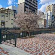 ヒメ日記 2025/02/08 05:49 投稿 かおり ミセスハンドセラピー