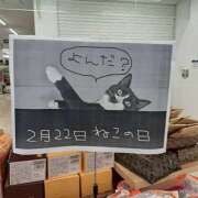 ヒメ日記 2025/02/21 02:46 投稿 かおり ミセスハンドセラピー