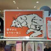 ヒメ日記 2025/02/27 23:34 投稿 かおり ミセスハンドセラピー