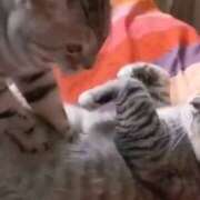 ヒメ日記 2025/03/02 09:57 投稿 かおり ミセスハンドセラピー