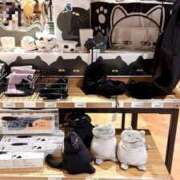 ヒメ日記 2025/03/05 01:00 投稿 かおり ミセスハンドセラピー