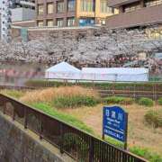 ヒメ日記 2025/03/28 18:02 投稿 かおり ミセスハンドセラピー