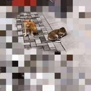 ヒメ日記 2025/03/29 10:20 投稿 かおり ミセスハンドセラピー