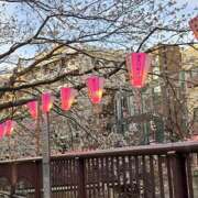 ヒメ日記 2025/03/31 00:39 投稿 かおり ミセスハンドセラピー