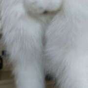 ヒメ日記 2025/05/02 01:26 投稿 かおり ミセスハンドセラピー