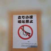 ヒメ日記 2025/05/09 16:58 投稿 かおり ミセスハンドセラピー