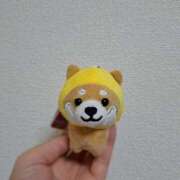 ヒメ日記 2025/05/11 23:44 投稿 かおり ミセスハンドセラピー