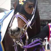 ヒメ日記 2025/05/23 22:48 投稿 かおり ミセスハンドセラピー