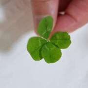 ヒメ日記 2025/05/30 20:29 投稿 かおり ミセスハンドセラピー