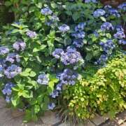 ヒメ日記 2025/06/06 19:01 投稿 かおり ミセスハンドセラピー