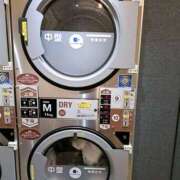 ヒメ日記 2025/06/15 12:26 投稿 かおり ミセスハンドセラピー