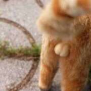 ヒメ日記 2025/06/16 21:51 投稿 かおり ミセスハンドセラピー