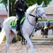 ヒメ日記 2025/07/06 23:27 投稿 かおり ミセスハンドセラピー