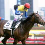 ヒメ日記 2025/07/17 16:06 投稿 かおり ミセスハンドセラピー