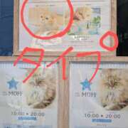 ヒメ日記 2025/08/11 17:30 投稿 かおり ミセスハンドセラピー