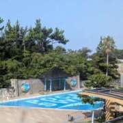 ヒメ日記 2025/08/21 16:12 投稿 かおり ミセスハンドセラピー