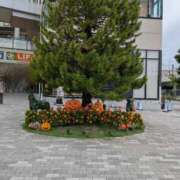 ヒメ日記 2025/09/12 12:51 投稿 かおり ミセスハンドセラピー