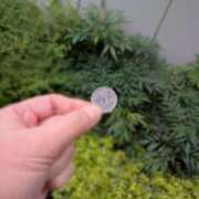 ヒメ日記 2025/10/25 12:02 投稿 かおり ミセスハンドセラピー