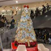 ヒメ日記 2025/11/09 16:27 投稿 かおり ミセスハンドセラピー