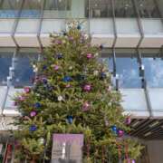 ヒメ日記 2025/11/22 10:11 投稿 かおり ミセスハンドセラピー