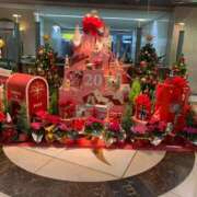 ヒメ日記 2025/11/29 12:15 投稿 かおり ミセスハンドセラピー