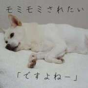 ヒメ日記 2026/01/28 02:15 投稿 かおり ミセスハンドセラピー