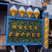 ヒメ日記 2026/02/09 08:19 投稿 かおり ミセスハンドセラピー