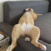 ヒメ日記 2026/02/17 15:31 投稿 かおり ミセスハンドセラピー