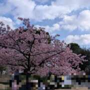 ヒメ日記 2026/02/23 10:51 投稿 かおり ミセスハンドセラピー