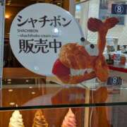 ヒメ日記 2026/03/07 14:50 投稿 かおり ミセスハンドセラピー