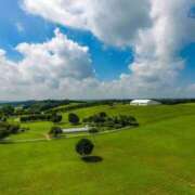 ヒメ日記 2026/03/22 12:38 投稿 かおり ミセスハンドセラピー