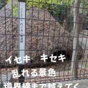 ヒメ日記 2026/04/02 11:31 投稿 かおり ミセスハンドセラピー