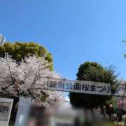 ヒメ日記 2026/04/03 13:35 投稿 かおり ミセスハンドセラピー