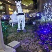 ヒメ日記 2024/12/21 05:49 投稿 さゆ 熟女の風俗最終章 八王子店