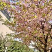 ヒメ日記 2026/03/10 22:20 投稿 さゆ 熟女の風俗最終章 八王子店