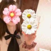 ヒメ日記 2025/04/04 10:18 投稿 柊　ゆき 三ツ星Class