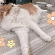 ヒメ日記 2025/06/16 22:33 投稿 柊　ゆき 三ツ星Class