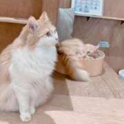 ヒメ日記 2025/07/20 09:06 投稿 柊　ゆき 三ツ星Class