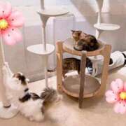 ヒメ日記 2025/08/16 09:09 投稿 柊　ゆき 三ツ星Class