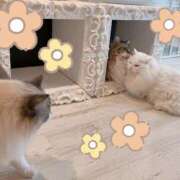 ヒメ日記 2025/10/05 09:09 投稿 柊　ゆき 三ツ星Class