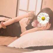 ヒメ日記 2025/10/12 07:12 投稿 柊　ゆき 三ツ星Class