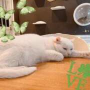 ヒメ日記 2025/10/19 09:12 投稿 柊　ゆき 三ツ星Class