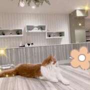 ヒメ日記 2025/11/28 20:03 投稿 柊　ゆき 三ツ星Class