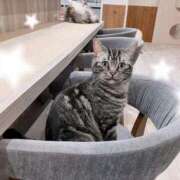 ヒメ日記 2025/12/13 09:03 投稿 柊　ゆき 三ツ星Class