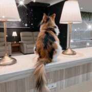 ヒメ日記 2026/01/25 09:03 投稿 柊　ゆき 三ツ星Class