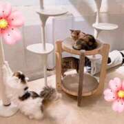 ヒメ日記 2026/02/07 16:18 投稿 柊　ゆき 三ツ星Class