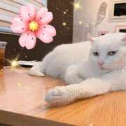 ヒメ日記 2026/09/20 09:21 投稿 柊　ゆき 三ツ星Class