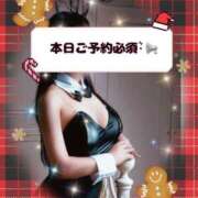 ヒメ日記 2024/12/17 09:31 投稿 さな チューリップ福井本館